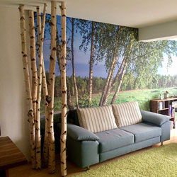 Trennwand Birke Wohnzimmer – Trennwand – kreative Wohnideen mit